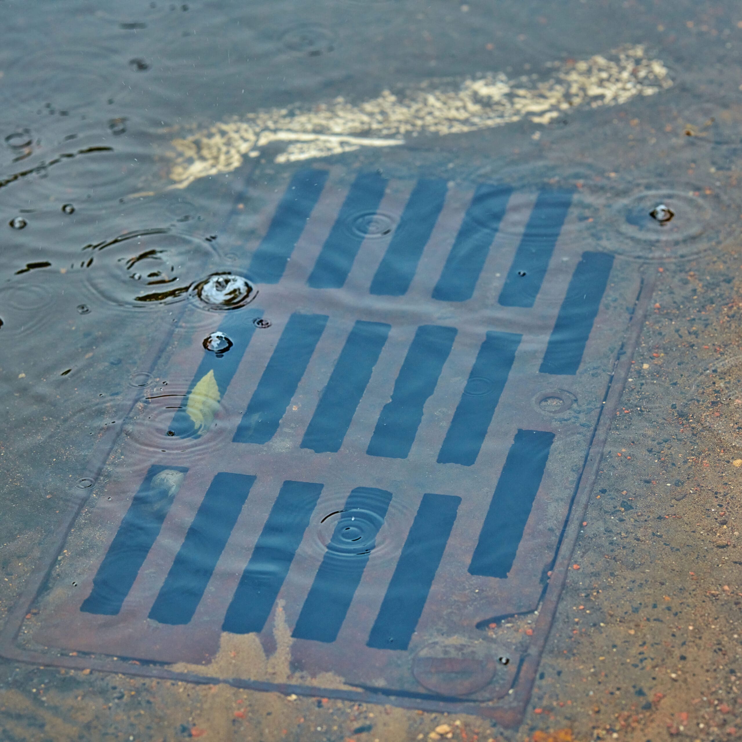 A storm drain grate partially submerged in rainwater, with ripples and small raindrops visible on the water’s surface around it.