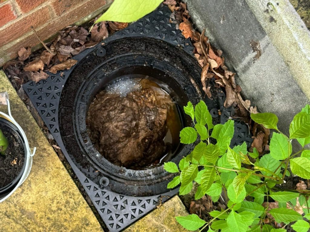 A round drain cover with a partially exposed, water-filled hole is surrounded by green leaves, a brick wall, and concrete. Brown leaves are scattered around the edge.