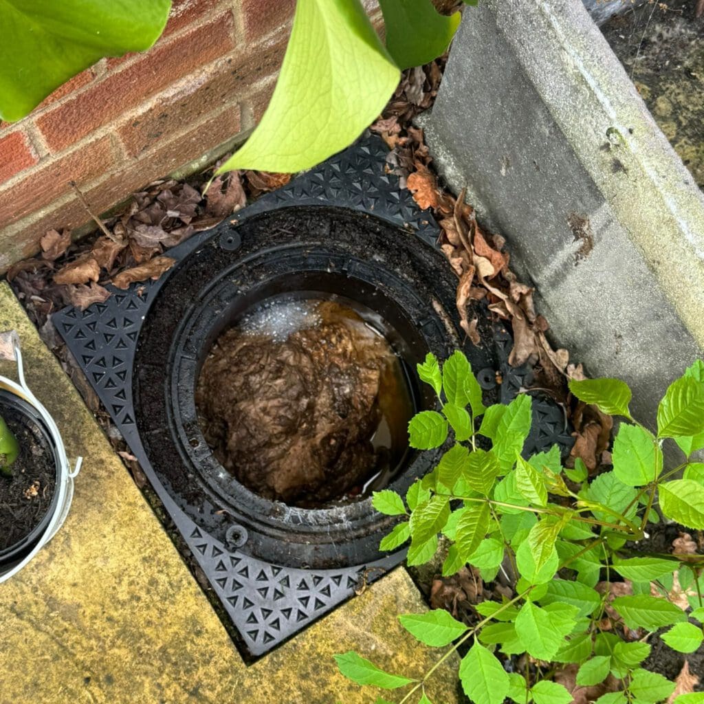 A round drain cover with a partially exposed, water-filled hole is surrounded by green leaves, a brick wall, and concrete. Brown leaves are scattered around the edge.