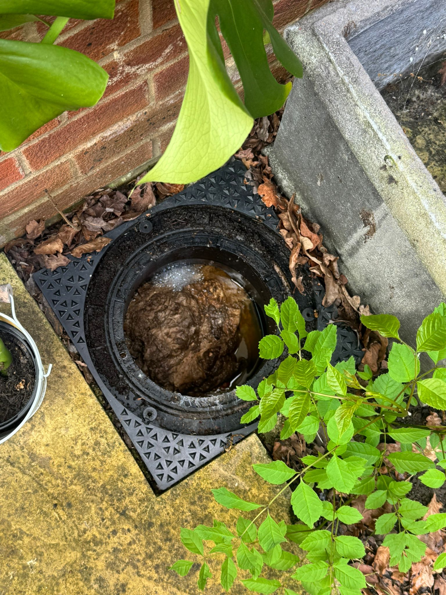 A round drain cover with a partially exposed, water-filled hole is surrounded by green leaves, a brick wall, and concrete. Brown leaves are scattered around the edge.
